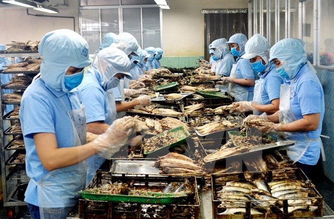 附圖：2018年前兩月越南水產(chǎn)品出口額同比增長(zhǎng)近30%。（圖片來(lái)源：越通社）